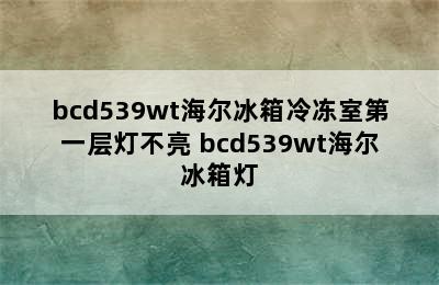 bcd539wt海尔冰箱冷冻室第一层灯不亮 bcd539wt海尔冰箱灯